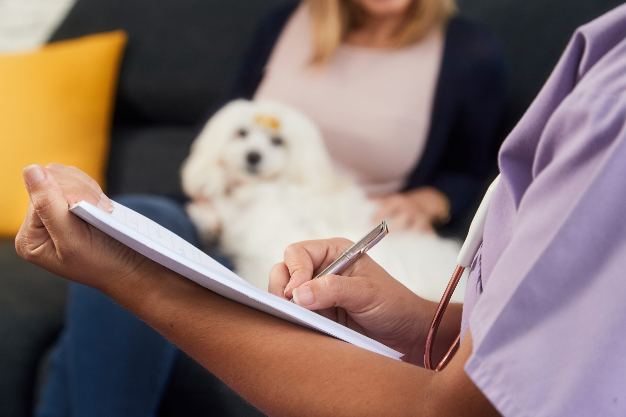 Liability Insurance for Therapy Dogs: Essential Coverage