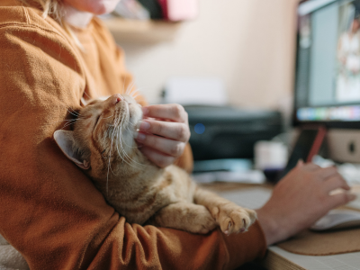 Woman holding an orange tabby chat and rubbing her chin with a laptop in the background.