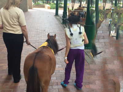 A woman and a child with a back brace walk with a mini horse outdoors, showing animal-assisted mobility support.