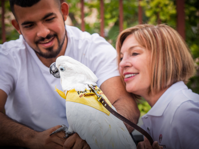 A man and a woman interact with a white cockatoo wearing a bandana outdoors, demonstrating animal-assisted therapy.